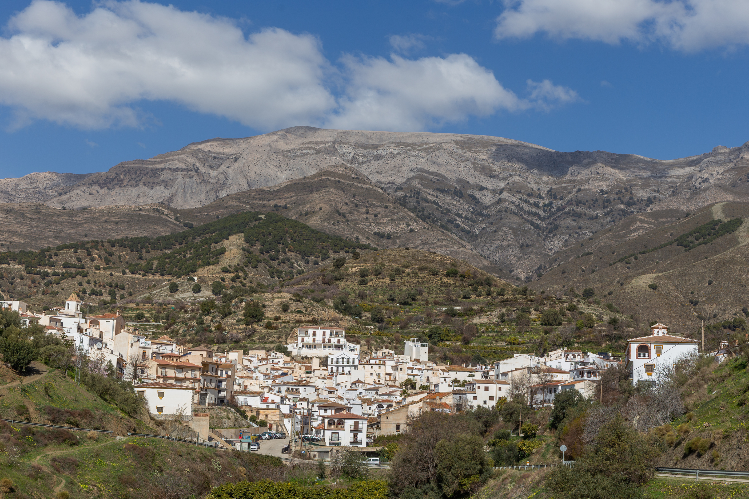 Sedella[1].webp